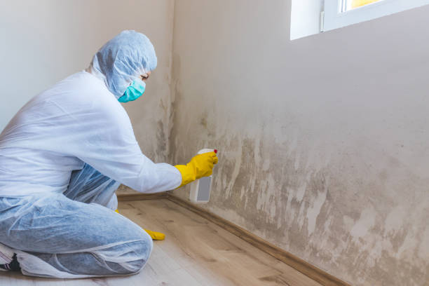 Licensed Crawl Space Mold Removal service in Hertford, NC - WQB Mold Removal