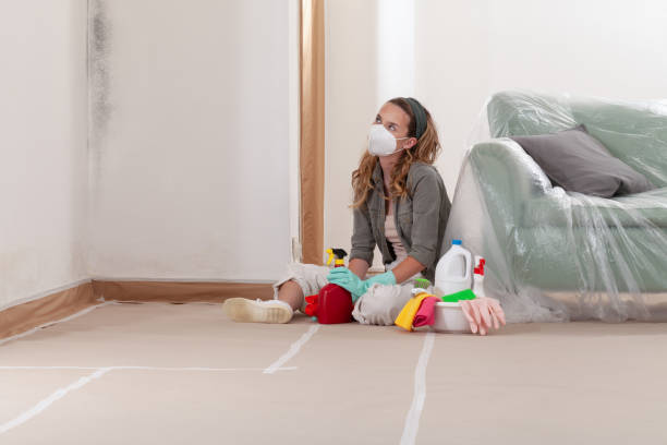 Reliable Crawl Space Mold Removal contractor in Hertford, NC by WQB Mold Removal